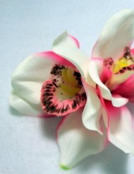 Two White and Pink Cymbidium Orchid Flower Hair Clips - Sold as a pair