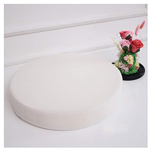 bandezid Cojines redondos de asiento, cojines redondos para sofá, cojines de silla, cojines de asiento redondos para interiores y exteriores, 5 cm de grosor, varios tamaños, color blanco. 100 x 5 cm