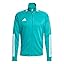 Pure Teal/White