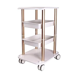 Rolling Trolley Cart Beauty Machine Salon Hair Cart SPA Organizer Stand Storage Tattoo Stylist Station Equipment for Beauty Instrument Storage
