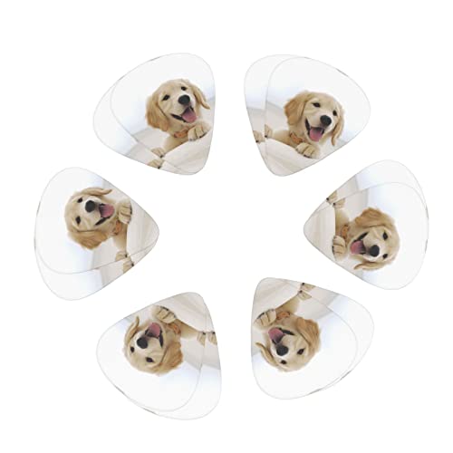 Pack de 12 médiators Golden Retriever Puppies médiators pour guitare électrique guitare acoustique guitares diverses - Les Beatles, Paul McCartney, John Lennon, RIngo Starr, George Harrison Pack de 12 médiators Golden Retriever Puppies médiators pour guitare électrique guitare acoustique guitares diverses