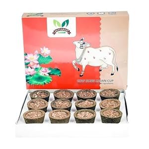 SID Organic Cow Dung Havan Sambrani Cups | 15 Cups for Home Dhoop Cup for Pooja- Havan Samagri - Made with Ayurvedic Herbs Including Loban, Jatamasi, Guggal, Kapoor, Ghee & Other Herbs-image-35