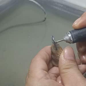 Miniatura 4 de Juego de 20 cepillos de alambre en forma de T, mango de 332 pulgadas, rueda de cepillos de alambre de acero inoxidable para herramientas rotativas