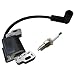 Life Girl Star 799582 Upgraded Ignition Coil w/Spark Plug 798534 593872 for Briggs and Stratton 595009 596532 84005272