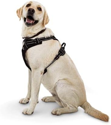 Good2Go Black Front Walking Dog Harness, Medium