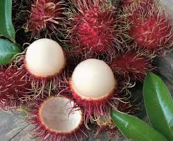 See full amazon price history chart for Rare KG10 Rambutan Hybrid Exotic Fruit Seeds, Pack of 10 Rare KG10 Rambutan Hybrid Exotic Fruit Seeds, Pack of 10 (B0DCKB1BY7) Amazon Price History, Amazon Price Tracker
