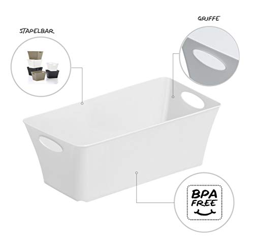 Rotho Living Piccolo Box di Stoccaggio, Plastica