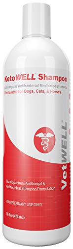 KetoWELL Ketoconazole & Chlorhexidine Shampoo for Dogs & Cats - Antifungal & Antiseptic