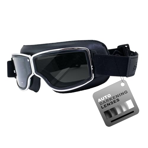 Birdz Eyewear Condor Sport Motorcycle Goggles