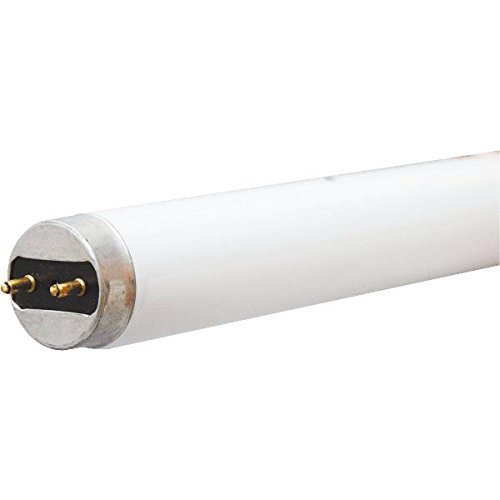 GE 45748 F17T8 SP41 ECO 2 feet T8 Fluorescent Lamp (Case of 24)