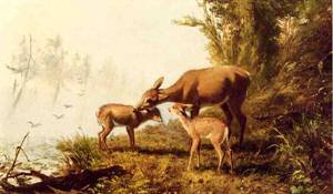 Peinture à l'huile Deer in The Woods Arthur F Tait pour habiller un grand mur vide