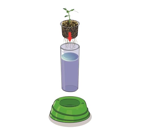 Clementoni | Science & Jeu – Botanique et Hydroponie pour Enfants 8 Ans+ | Kit Jardinage sans Terre avec Pot Transparent, Graines et Outils | Expérience Botanique Éducative | Activité STEM Nature