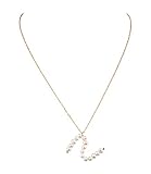 Die Halskette ist ein perfektes Geschenk für trendbewusste Frauen, deren Namen mit dem Buchstaben N beginnt.