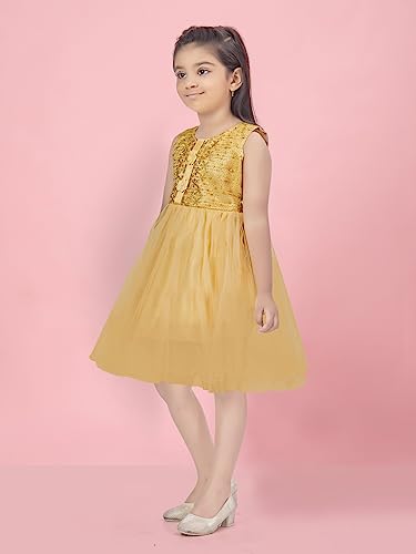 Image of Aarika Girls Fawn Color Net Frock