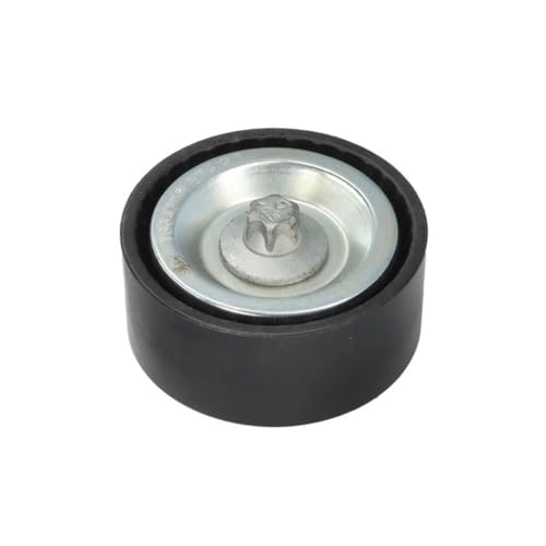 Poulie renvoi INA 532 0669 10 anti vibration de courroie d'accessoire