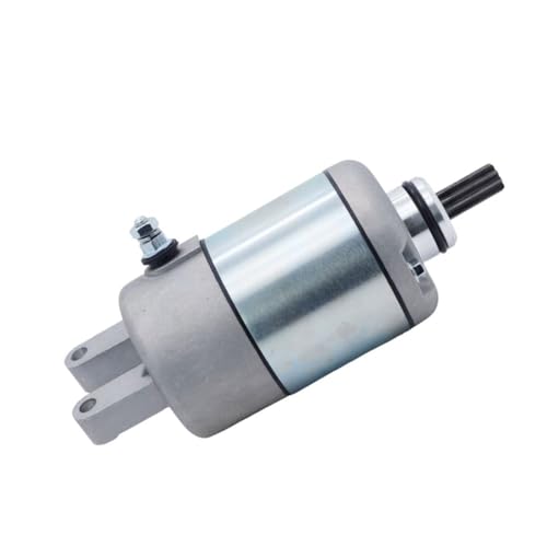 Motor de arranque YP250 con aislamiento térmico reforzado tipo Linhai 300