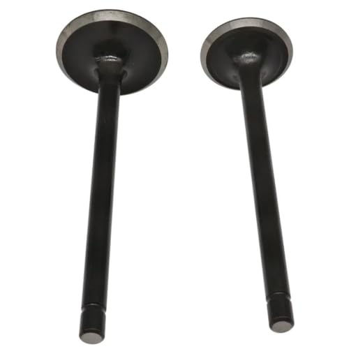 Soupapes d'échappement d'admission ATC185S TRX200 14711-440-003 pièces