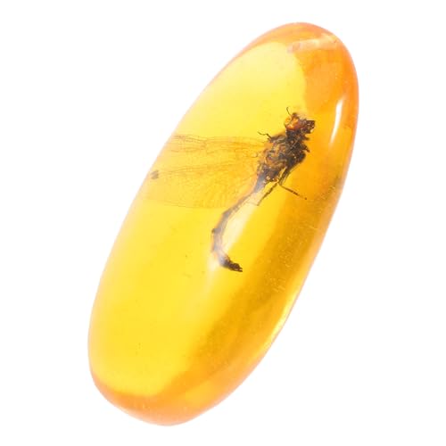 PLAFOPE Amber Amber Stone Specimen Unique Stones Amber Insect Specimen Insect Stone Home Decor Amber Stones Insect Amber Specimen Stone Insect Specimen Insect Ornament Resin