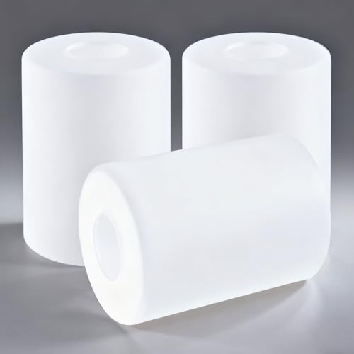 GO&SO ƖpzCg܂KXVF[h 3pbN V_[KXCgVF[hp 5.5C` a3.94C` tBb^[ 1.65C` tAv xbhTCh ǎtpC VfAp