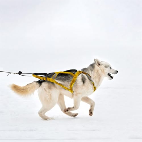 Hundegeschirr zum Ziehen, verstellbares Hundegeschirr für Schlittenübungen mit reflektierenden Streifen, Haustierschlitten, Radfahren, Skifahren, Laufen, Canicross, Rollen, für durchschnittliche Hunde