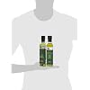 White and Black Truffle Olive Oil Combo | Terre di Tartufo | Versatile Condiments for Any Gourmet Dish | 8.4 fl oz (250ml) - Pack of 2