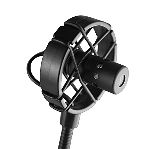 Prodipe BL21 - Micrófono para contrabajos