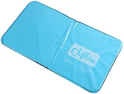 Cold Therapy Cooling Pillow Mat- 8th team Frosty Cooling Pillow Gel Cover Device Insert Comfort Sleeping Aid Pad Cool bed pillows for Relaxing, Restful Sleep and Muscle Relief