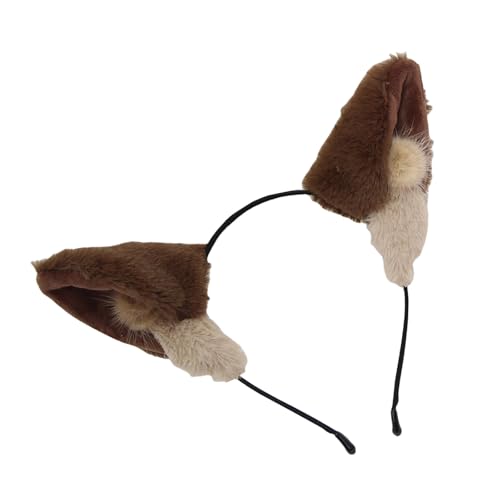 [Mllepjdh] qvZXwAohє̎nEBaʐ^yXqRXvq擮 wAANZT[