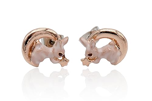 ƌG| CO `^sAX (sAX, sNS[h)