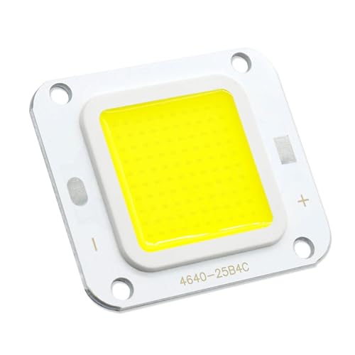LOTOAK Helligkeit LED COB Chip 4640 40W DC12-14V LED 2500mA Außenlichtquelle DIY (Weiß, 46*40mm, 25 * 25 mm)