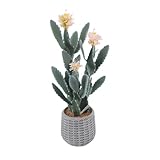 Künstlicher Kaktus, 91Cm Kunstpflanze Kaktuspflanzen Groß, Euphorbia Acrurensis Sehr Pflegeleicht, Kunstpflanze Im Topf Pflanzen Dekoration Für Zuhause Garten Büro Dekoration Einweihungsgeschenke - B