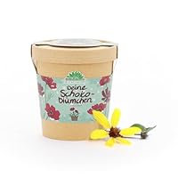 Anzuchtset für Schokoblumen von \Die Stadtgärtner\ | Schokoladenblume Starter-Set inkl. Pflanzbecher, Saatgut und Kokoserde | Tolle Geschenk-idee für Schokoladenliebhaber, Garten-Freunde & Kinder
