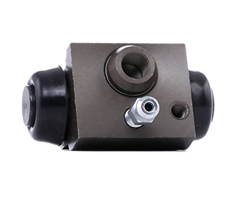 Trw BWC252 Cilindretto Freno