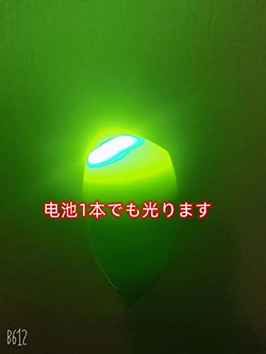 電気ウキ フカセウキ 電子浮き LED 堤防釣りCR425電池10本セット (1.0号ウキ５個とCR425電池10本, 緑) 3枚目