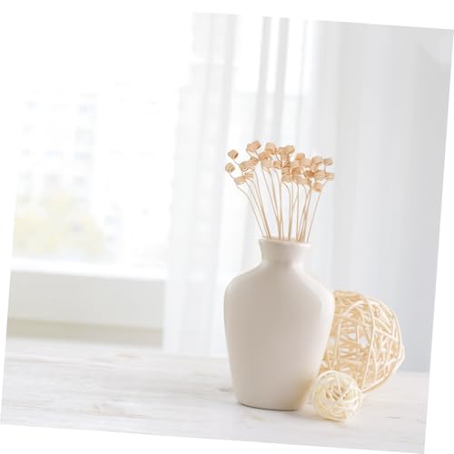 Varillas Difusoras de Rattan Natural para Aromaterapia 20 unidades miniatura 4