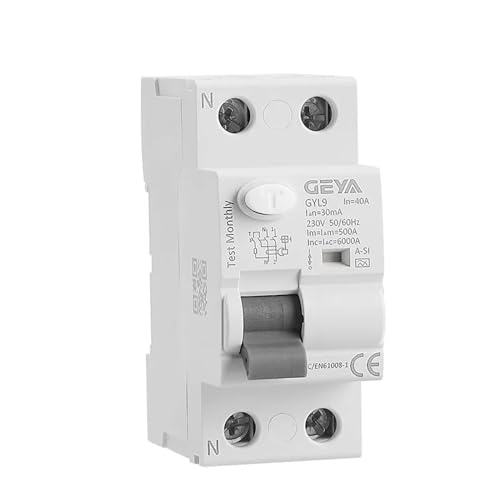 Disyuntor electromagnético súper inmunizado tipo RCD RCCB ELCB A-SI con retardo de tiempo (2P 40A 30mA)