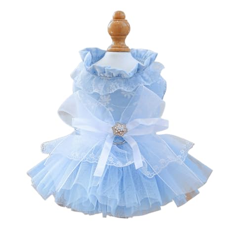 IUOUTG Dȃybg̃s[XAF̃[XhJ̔т̐}ʁA̒ap[eB[̌̉̕-XS