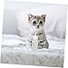 BESPORTBLE 3pcs Pet Nursing Bottles Silicone Feeders for Kittens Puppies and Small Animals Portable and Easy to Use for Nursing and Feeding