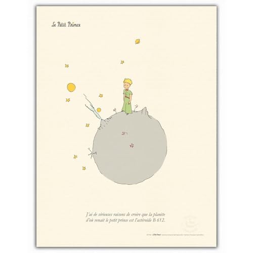 Affiche d'art Le Petit Prince, le souvenir d'enfance au salon