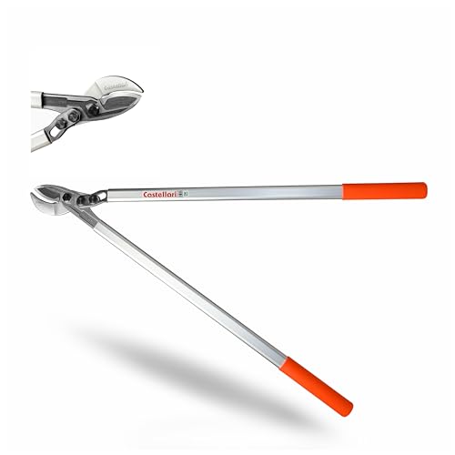 TRONCARAMI TUCANO C 80