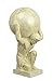 Produktbild Deko Figur Skulptur Atlas griechische Mythologie 68,6 cm Gold/beige