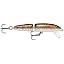 Rainbow Trout
