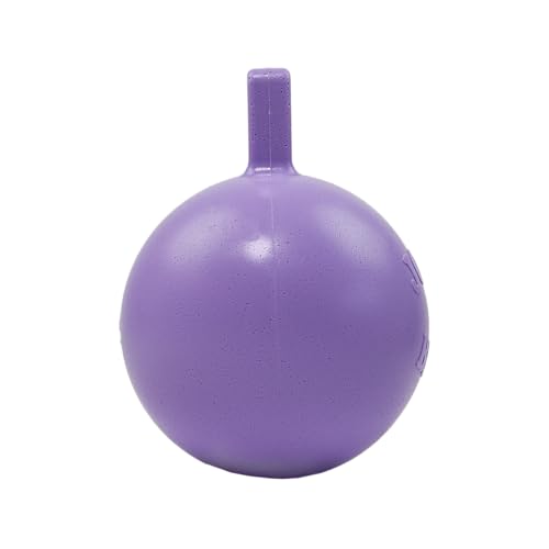 Jolly Pets, Tug-n-Toss, strapazierfähiger Hundespielball mit Griff, 20 cm/Größe L, Hellviolett