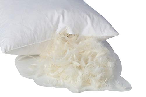 L' Cozee White Goose Feather And Down Pillows – Decorative Stuffed Pillows With 100% Cotton Cover –, Bed Pillows For Firm Sleepers – 2 Pack Of White Throw Pillows – 18 X 24 #TOP6