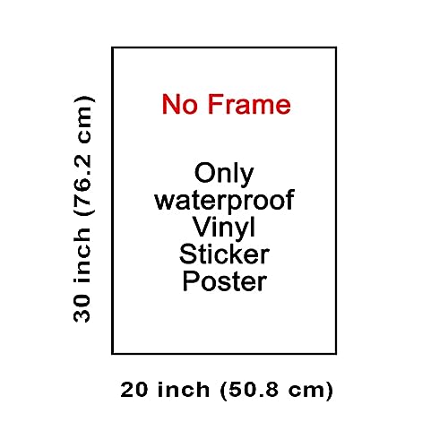 wallpics® Wild Animal Educational Chart for Children Waterproof Vinyl Sticker Poster || (20X30 inches) can2849-4