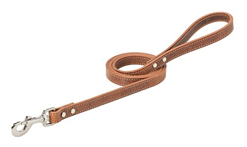 Weaver Pet Native Spirit Leash