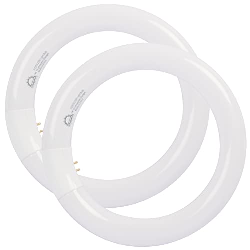 COOGGALAN 8 inch T9 22 Watts Round Light Bulbs FC8T9/DX Circular Fluorescent Light Bulb, FC8T9/DL 22W Circline Bulb, Daylight 6400K, G10q 4 Pin Prong Base, 2 Pack