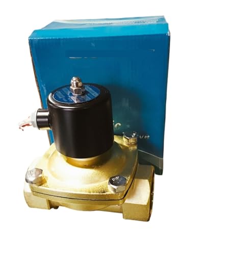 �\���m�C�h�o���u ���o���u 2W-025-08 2W-040-10 2W-200-20 2W-160-15 2W-250-25 2W-400-40 2W-500-50 AC220V DC24V(2W-250-25,DC24V)