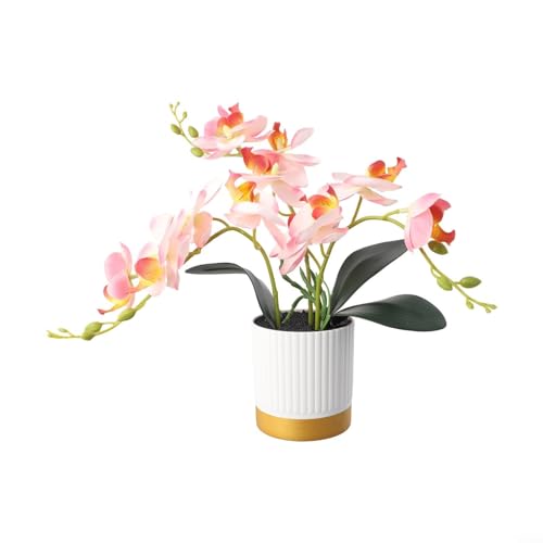 Bonsái de orquídea Phalaenopsis bellamente elaborado, perfecto para iluminar espacios pequeños en interiores (rosa)