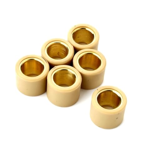 6 rouleaux de variateur 13g 21x17mm pour scooter 250cc et 300cc